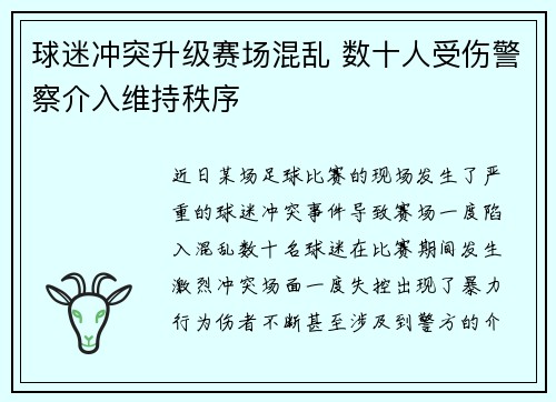 球迷冲突升级赛场混乱 数十人受伤警察介入维持秩序